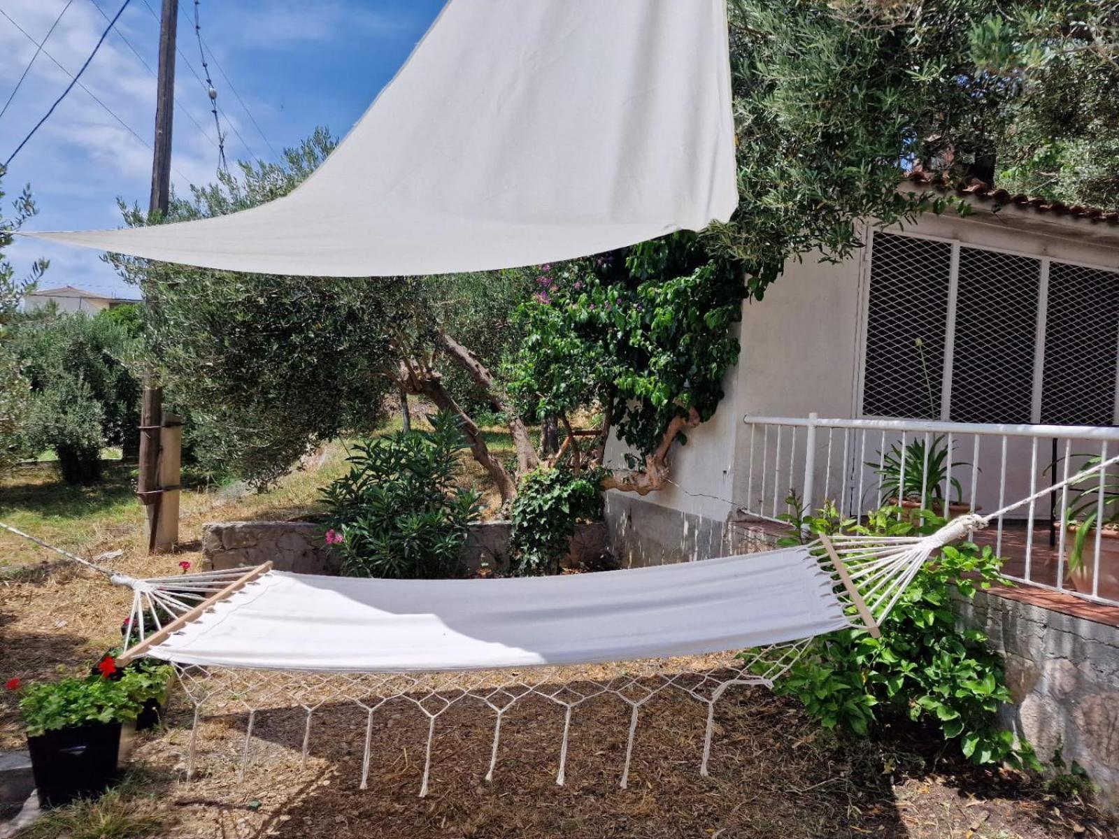 דוגי ראט Apartment Panorama - Amazing Sea View, Newly Renovated מראה חיצוני תמונה
